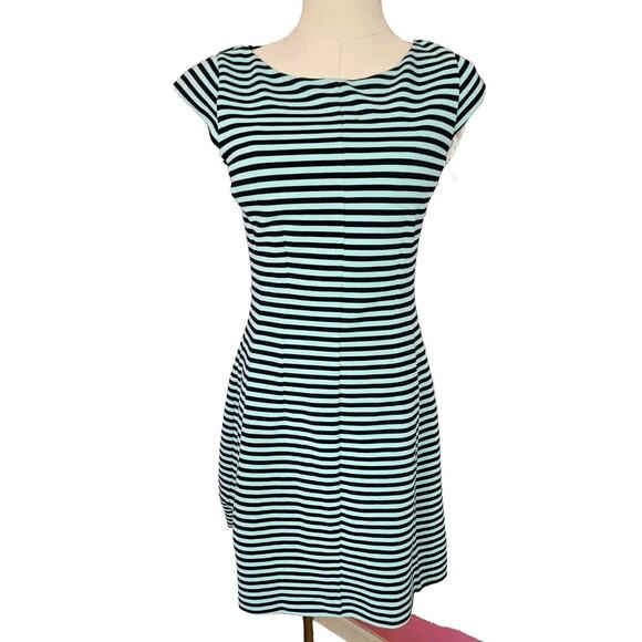 Lilly Pulitzer Briella Fit &‎ Flare Dress in Blue Tropez Ottoman Stripe Small - Picture 1 of 4